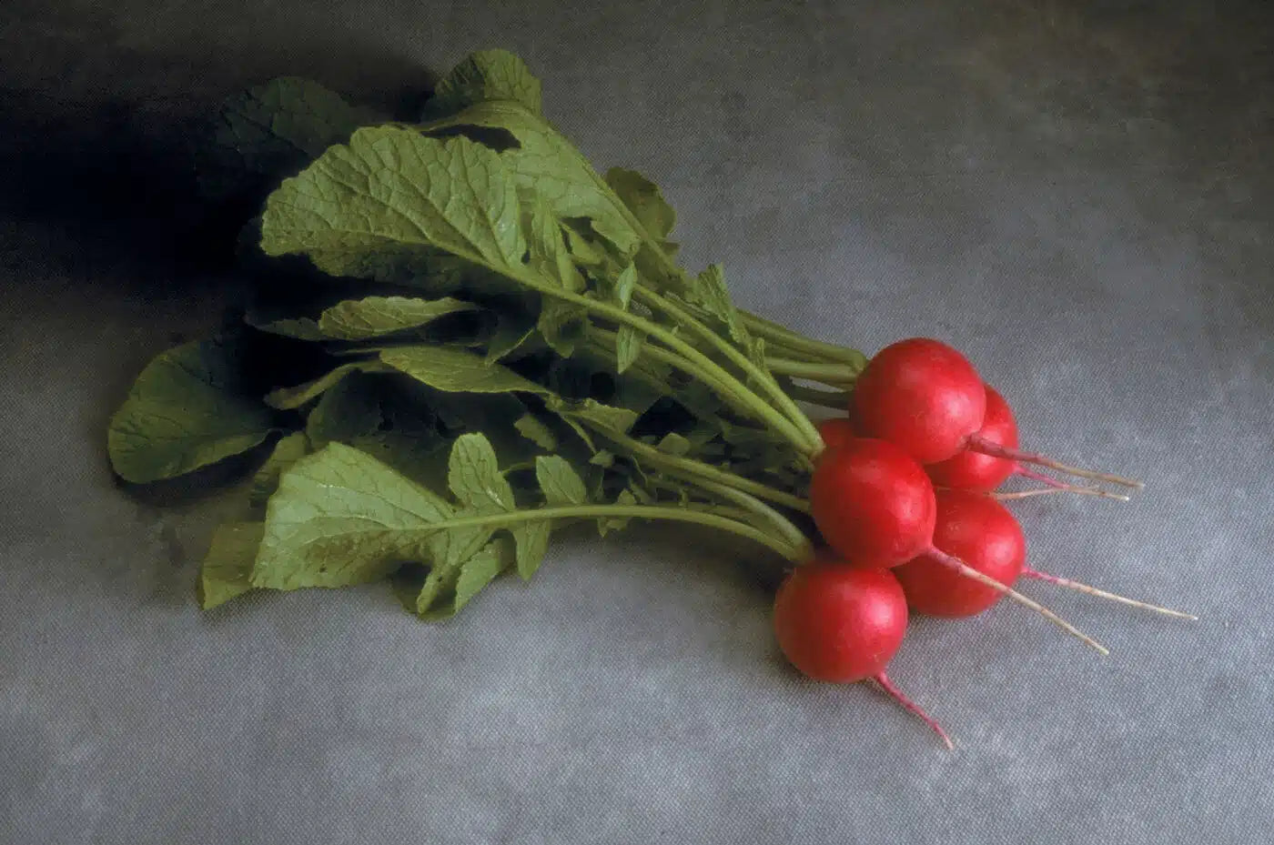 Cherriette Radish Seeds Heirloom Non-GMO High Germination Organic Garden Seeds