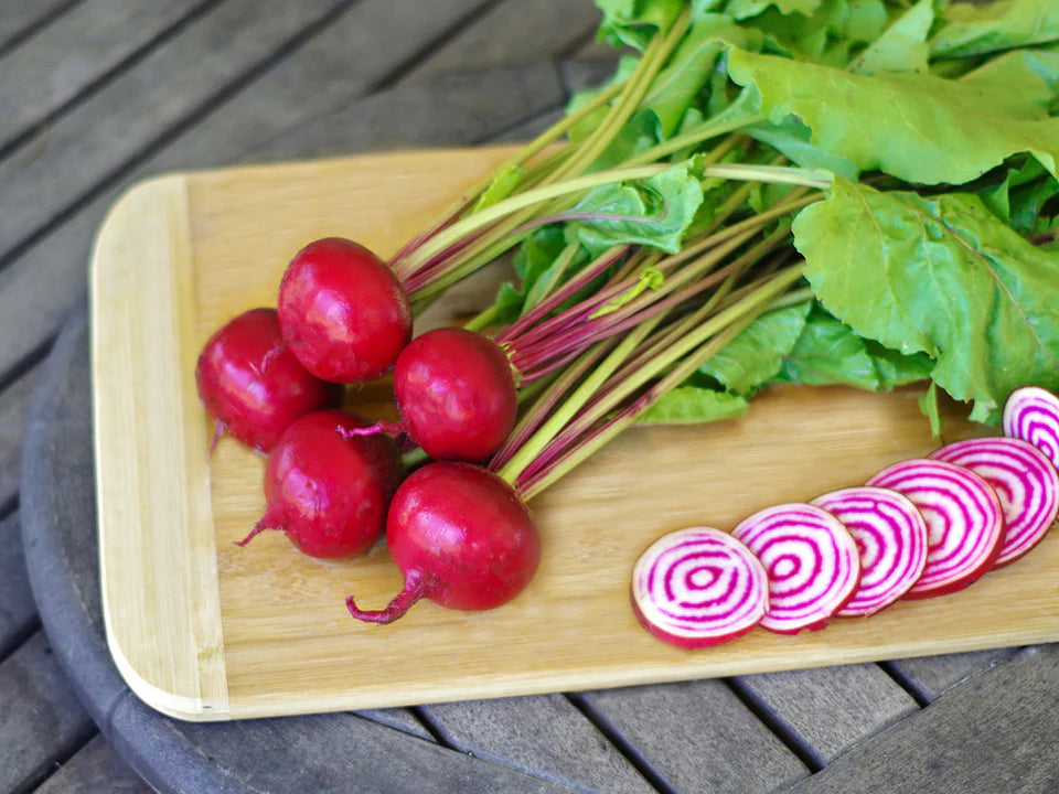 Chioggia Guardsmark Beet Seeds | Candy-Stripe Italian Heirloom Beets – Heirloom, Non-GMO, High Germination Organic Garden Seeds
