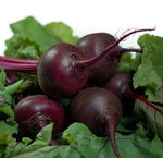 Cold Resistant Dark Red Globe Shape Beetroot For Sowing heirloom non-gmo organic garden seeds