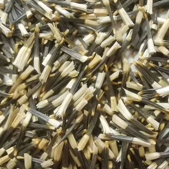 Cold And Drought Resistant Marigold Suitable For Planting – Heirloom, Non-GMO, High Germination Organic Garden Seeds