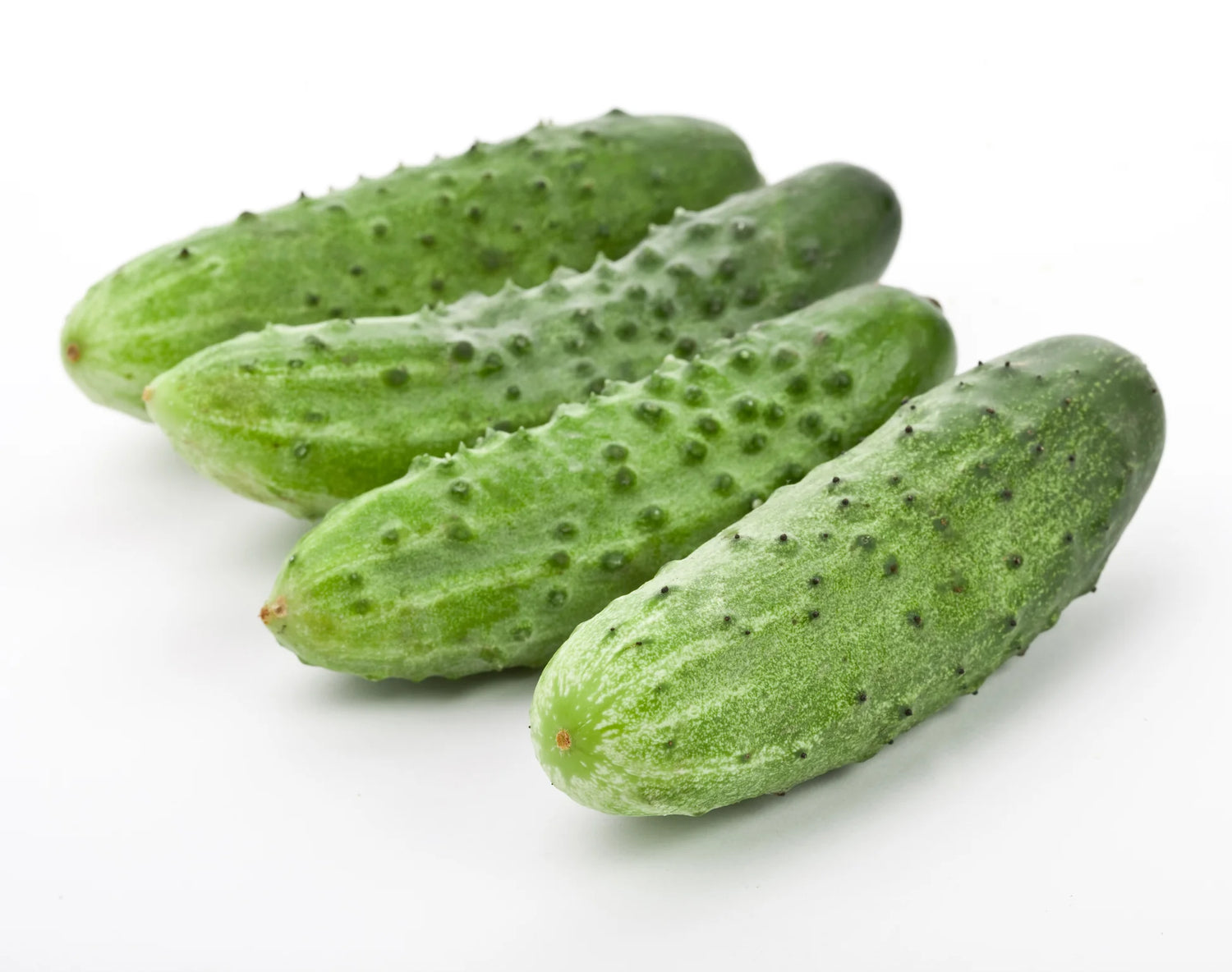 Cucumber Seeds - Pick A Bushel F1