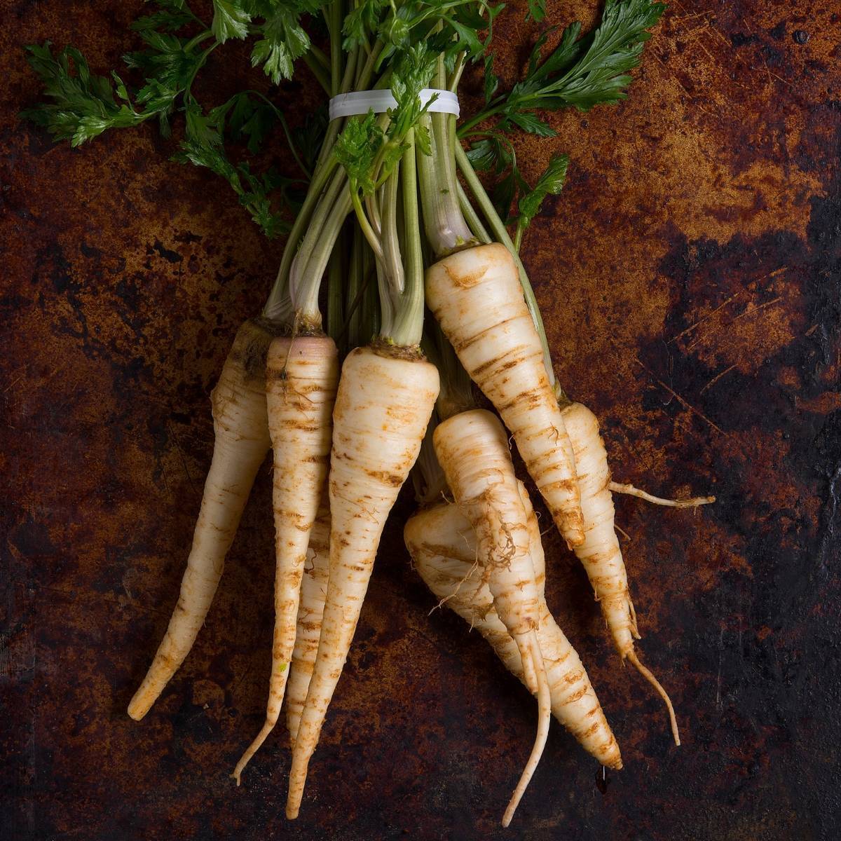 Hollow Crown Parsnip Seeds