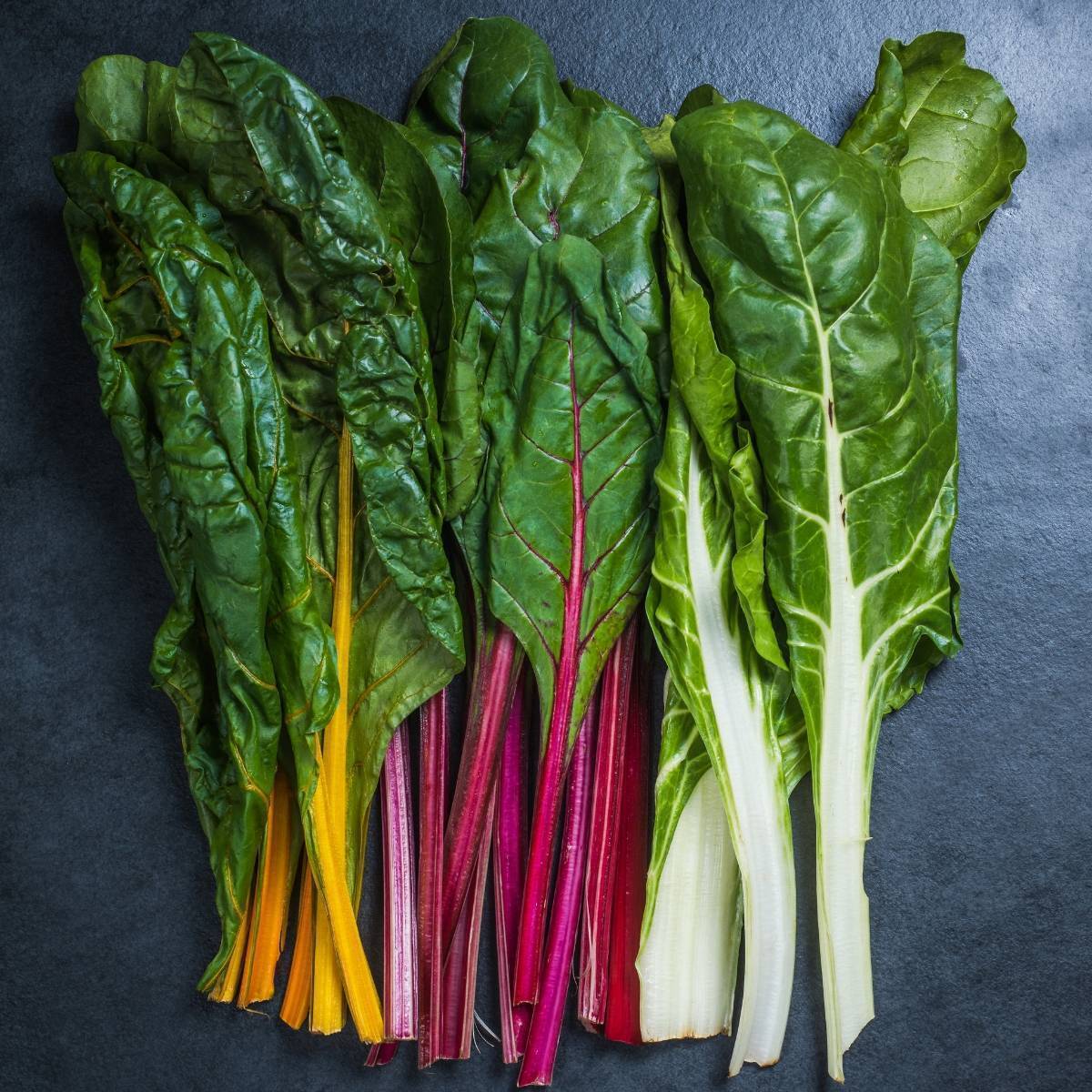 Rainbow Chard Silverbeet Seeds