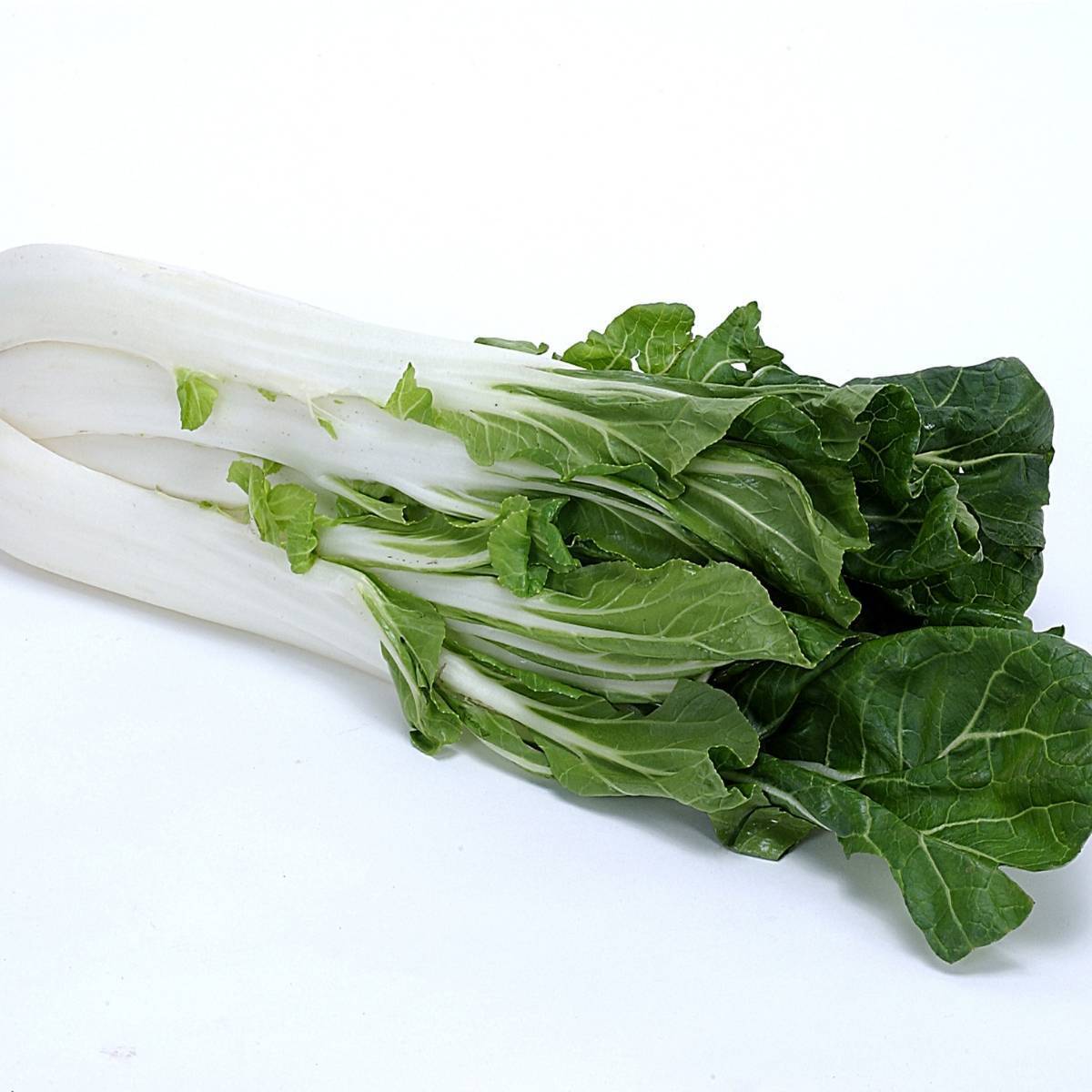 Kwang Moon Pak Choi Chinese Cabbage Seeds