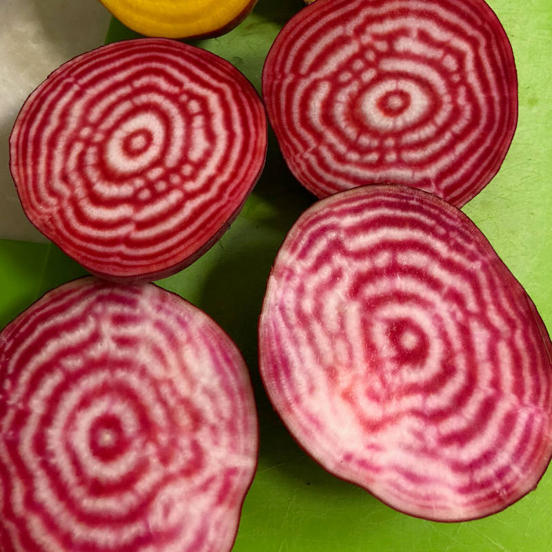 Chioggia Beetroot Seeds