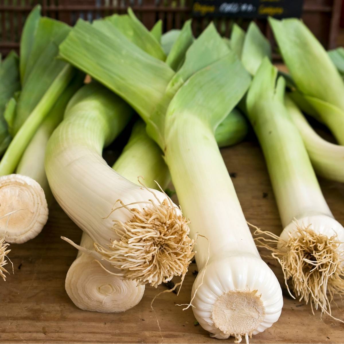 Autumn Giant Leek Seeds