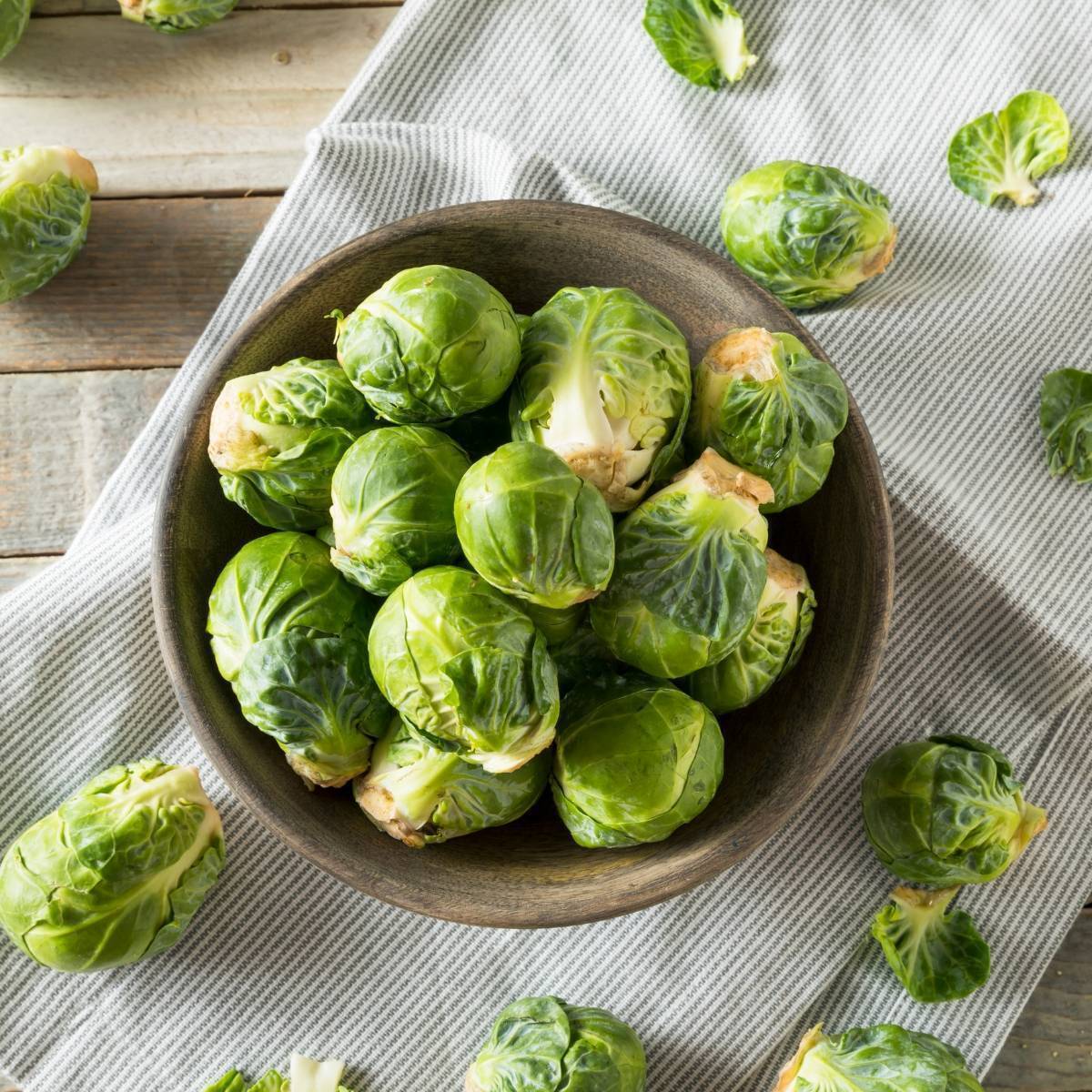 Long Island Improved Brussels Sprouts Seeds