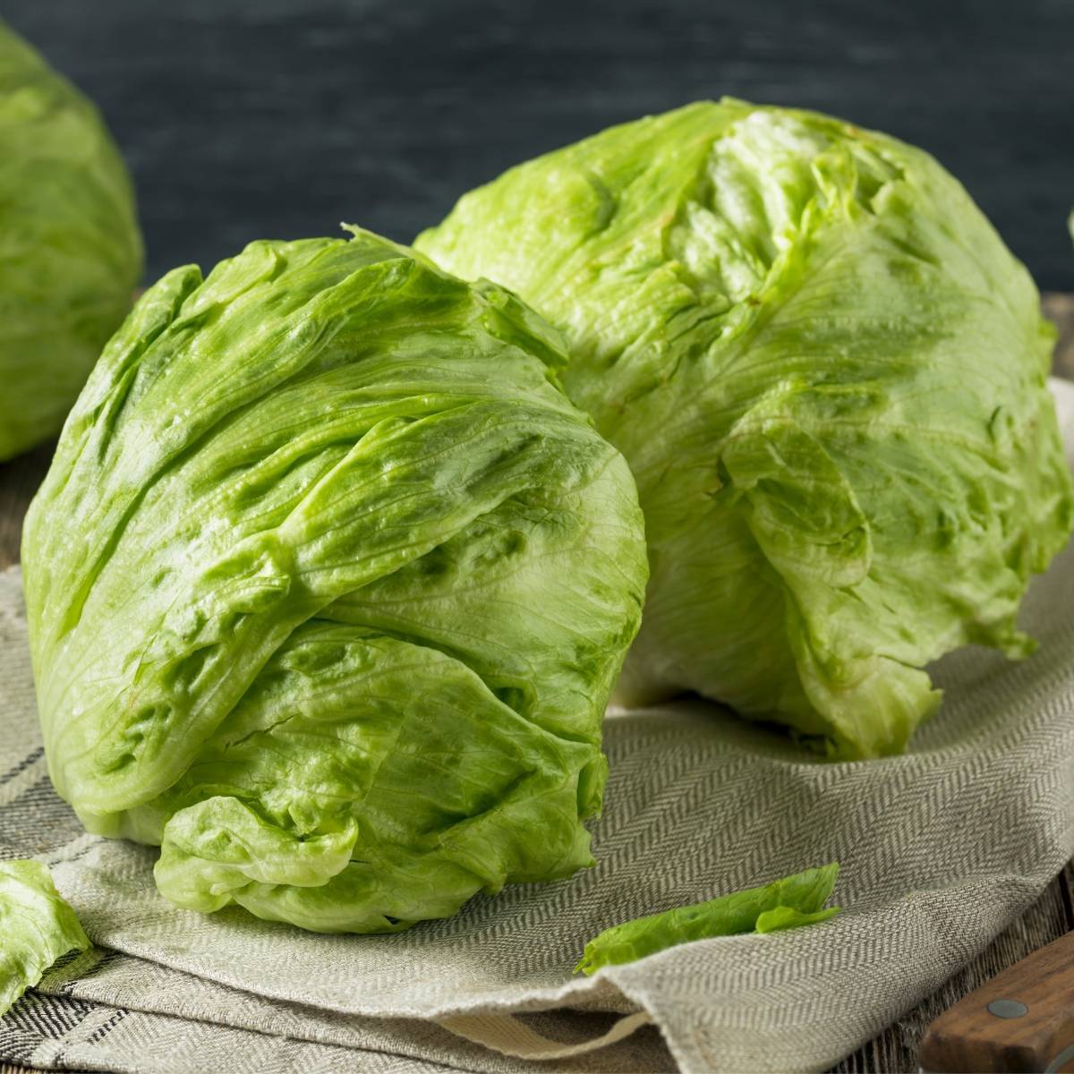 Iceberg Lettuce Seeds