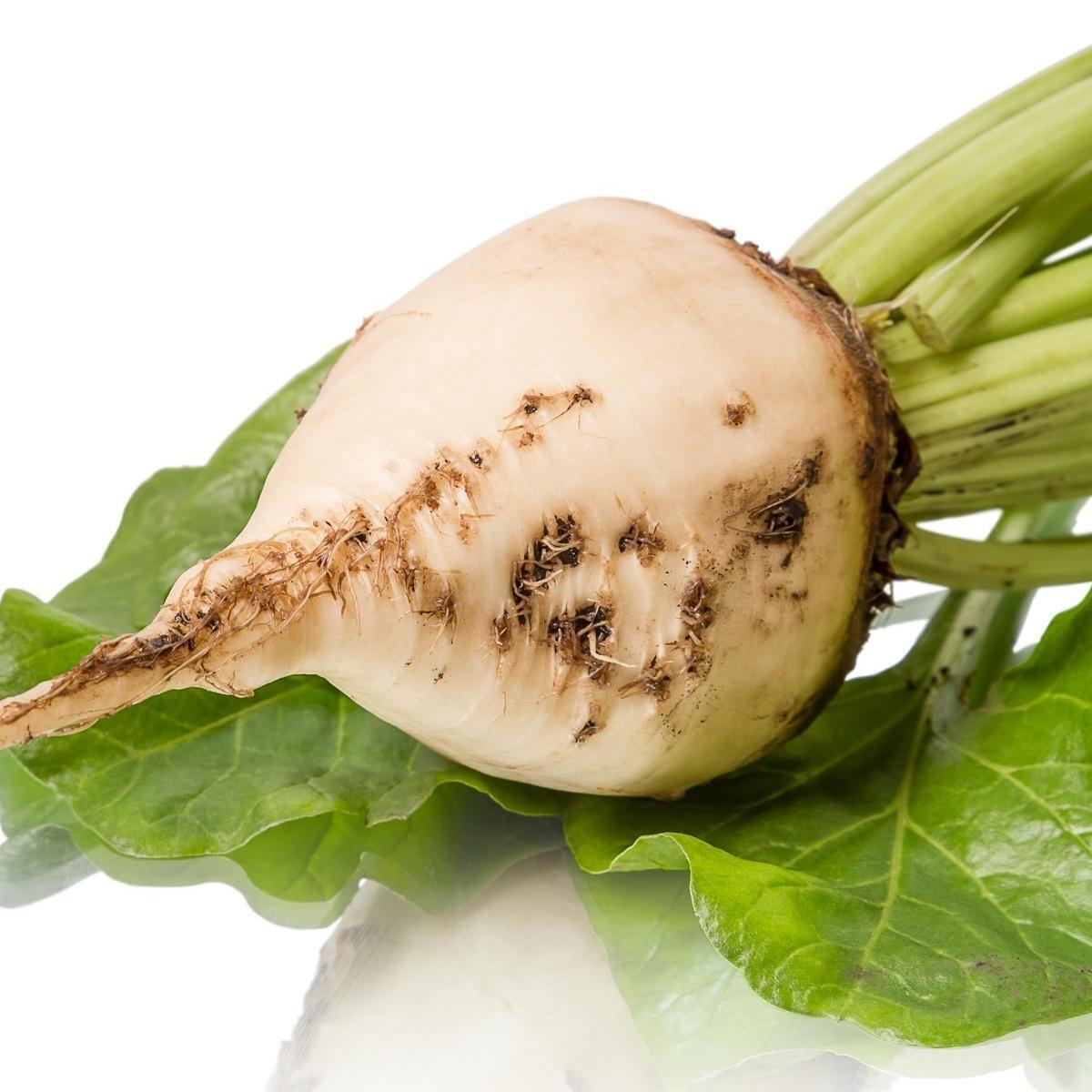 White Beetroot Seeds