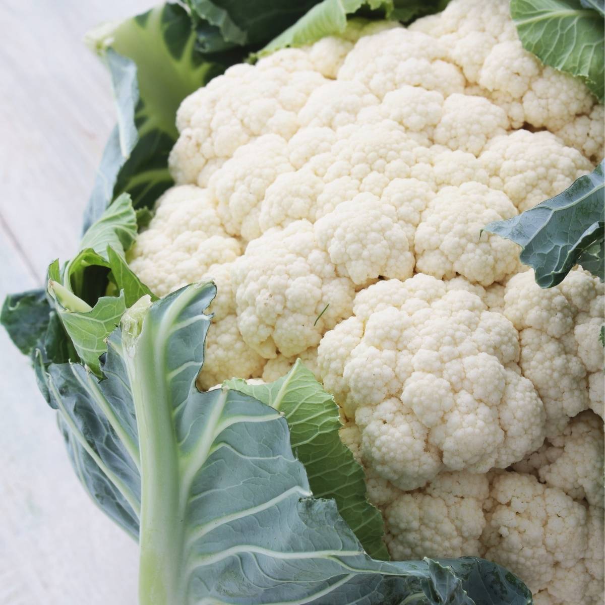 All Year Round Cauliflower Seeds