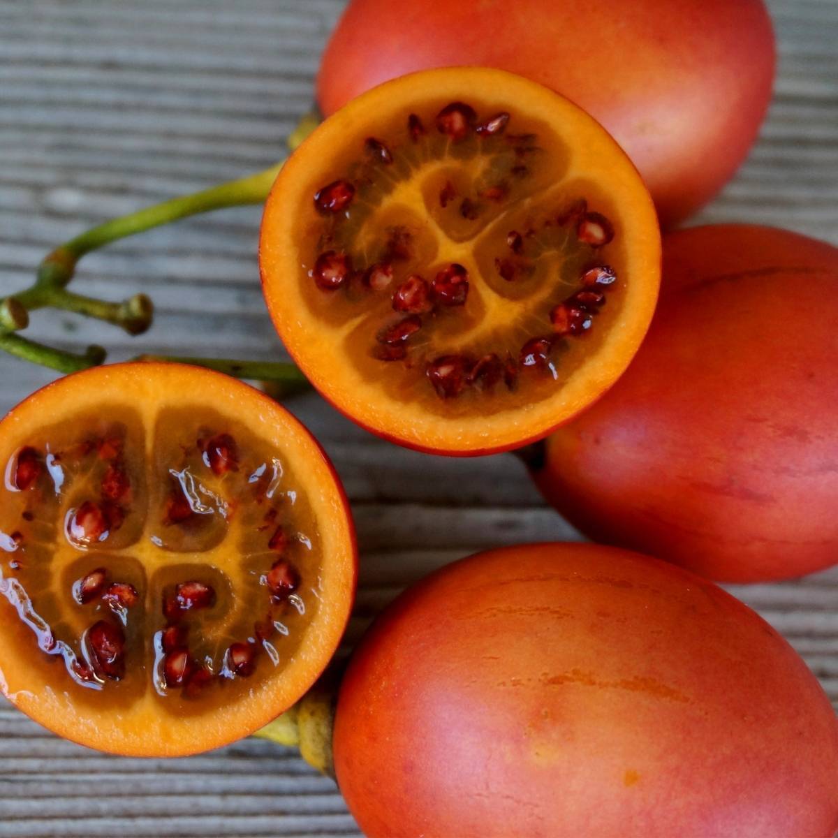 Red Tamarillo Seeds