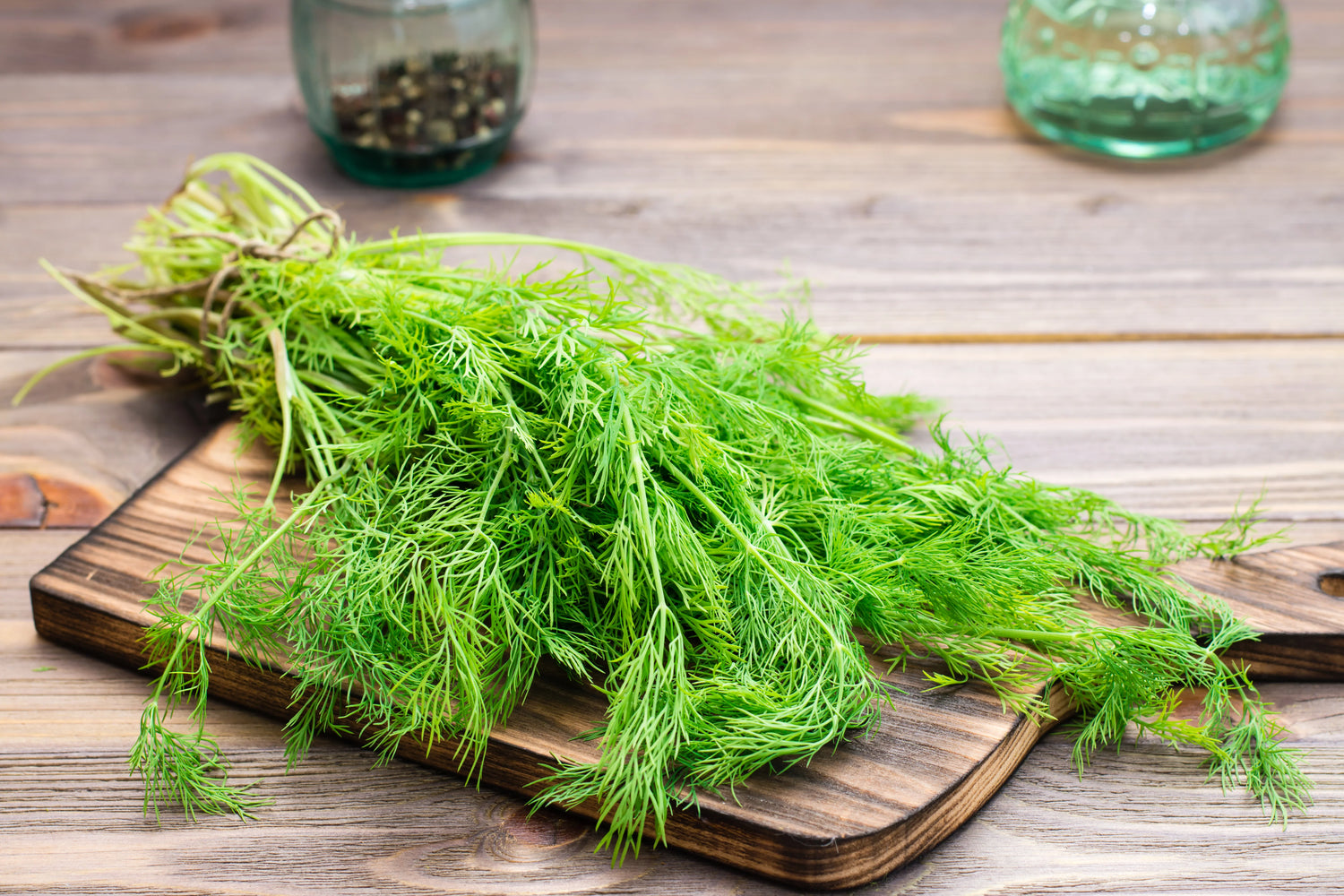 Dill Seeds - Bouquet (Common)