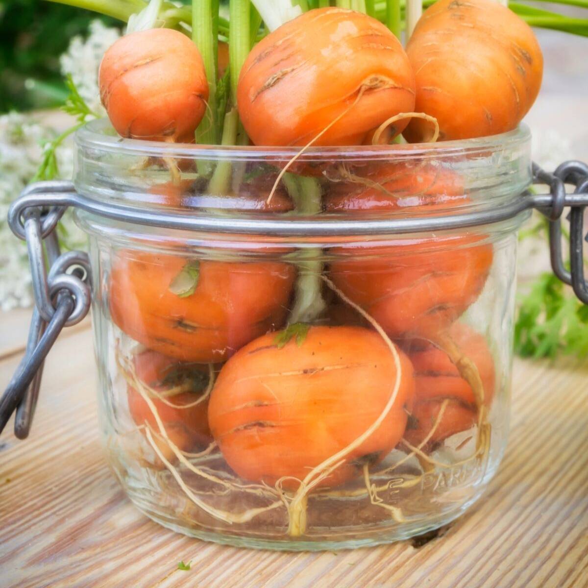 Mercado De Paris Carrot Seeds