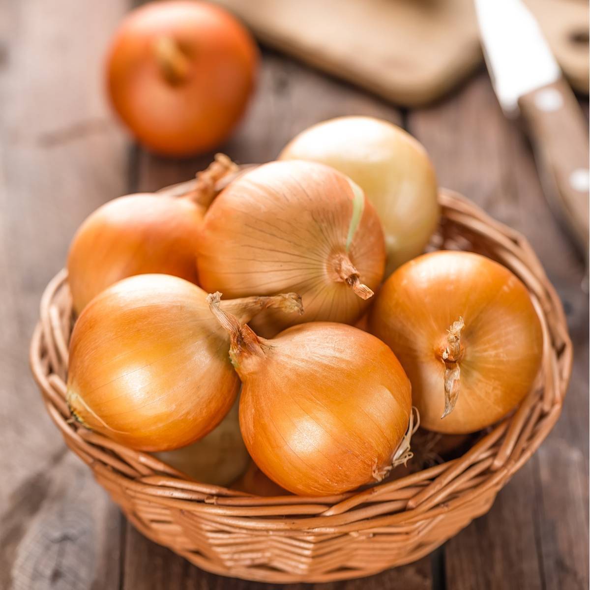 Gladalan Brown Onion Seeds