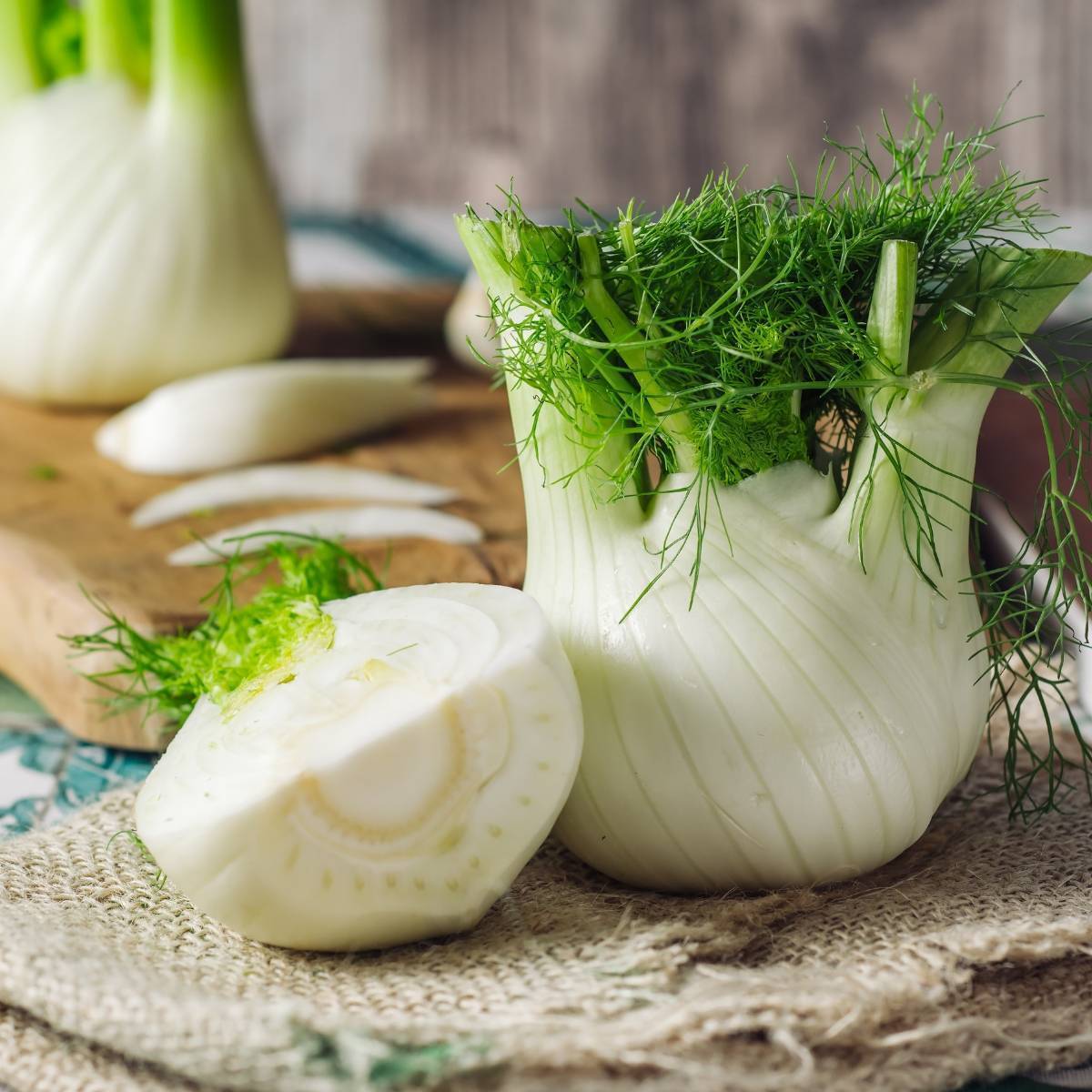 Florence Fennel Seeds