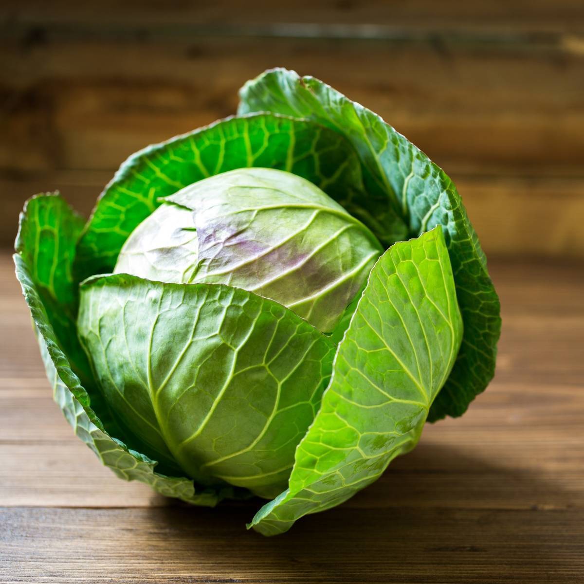 Mini Cabbage Seeds