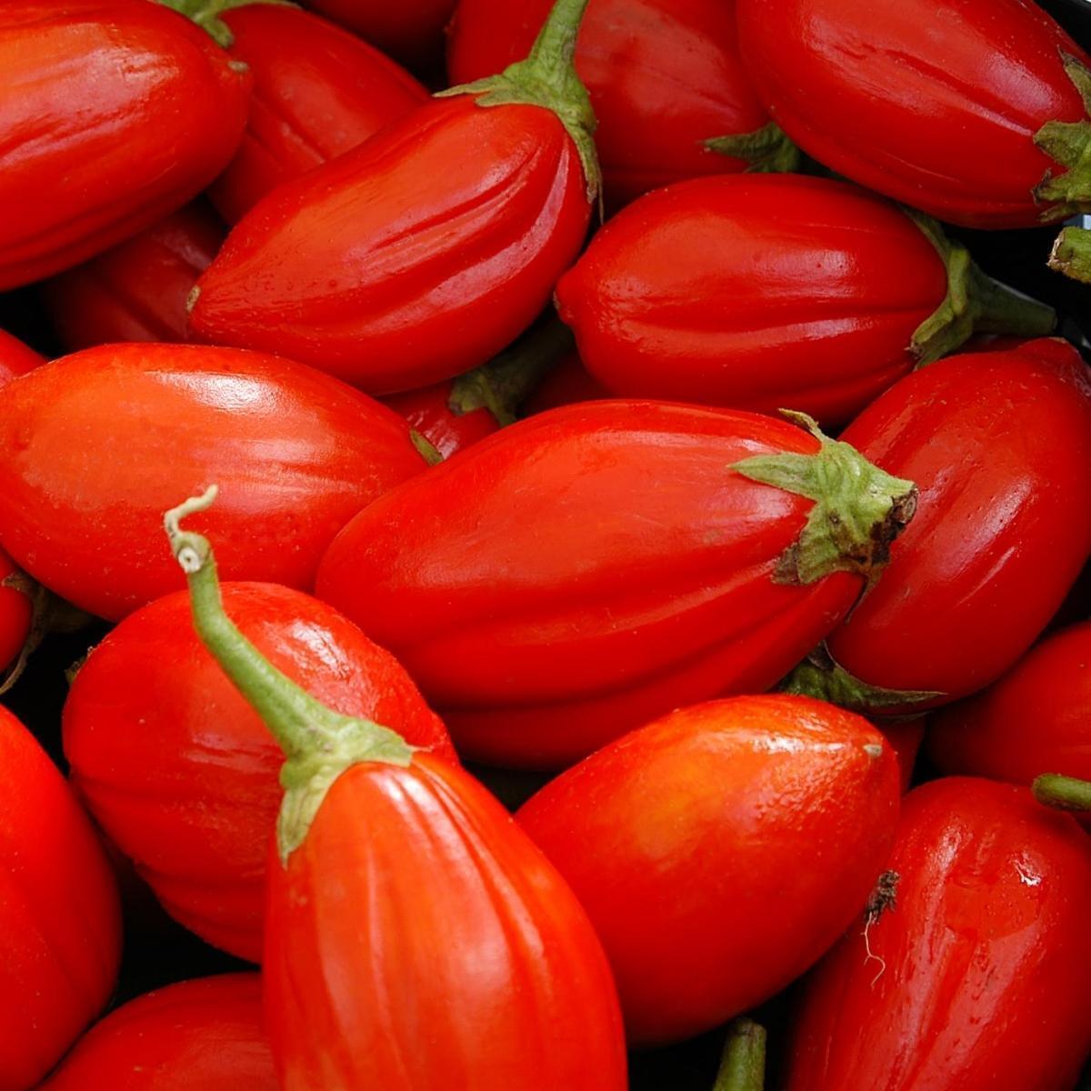 Long Red Eggplant Seeds