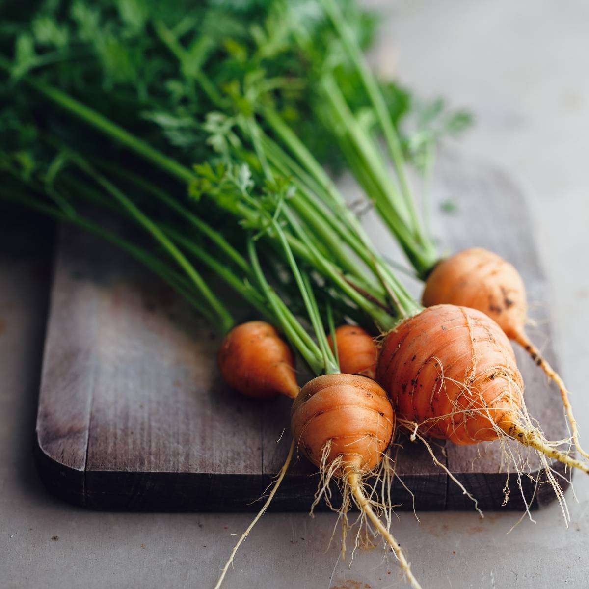 Paris Market Carrot Seeds