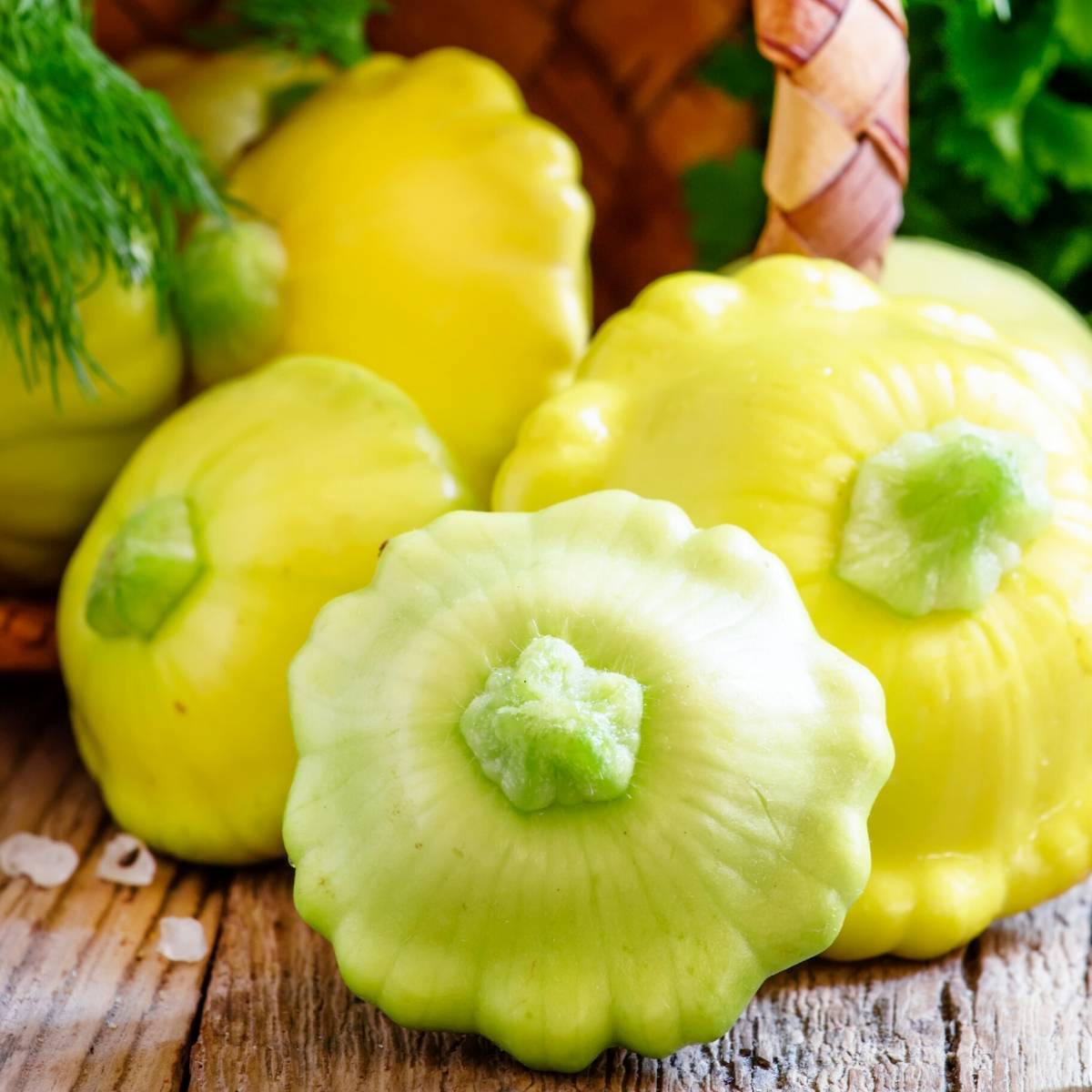 Golden Scallopini Summer Squash Seeds