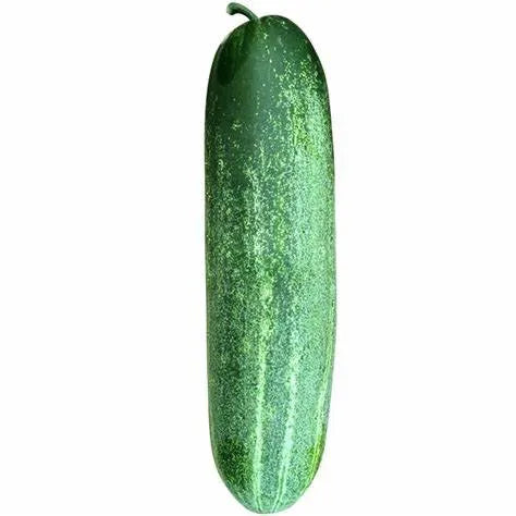 Early Maturity, Good Heat Resistance Effect, Cucumber – Heirloom, Non-GMO, High Germination Organic Garden Seeds