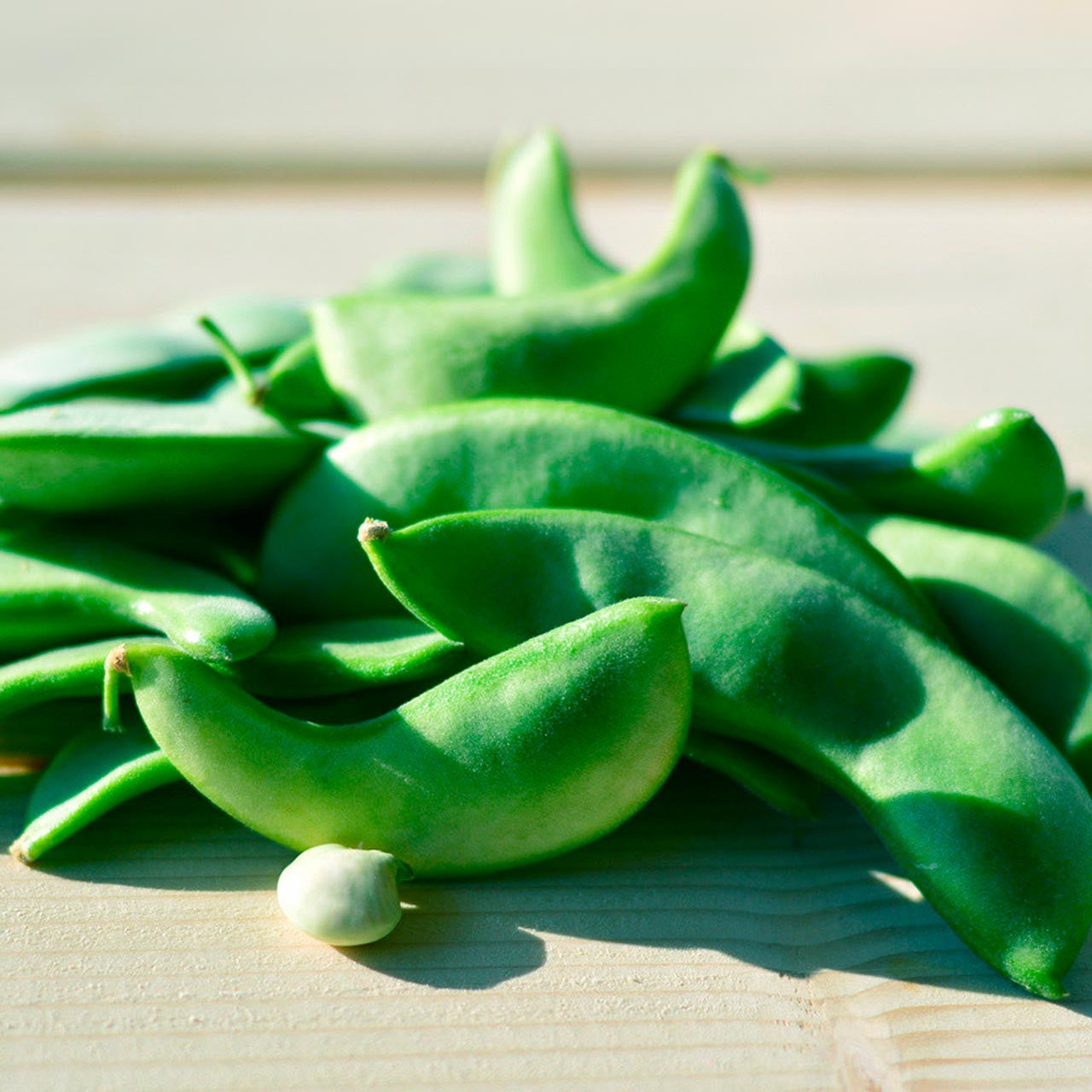 Bean Seeds (Bush Lima) - Early Thorogreen