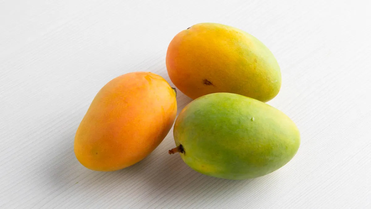 Early Gold Mango (Mangifera indica)