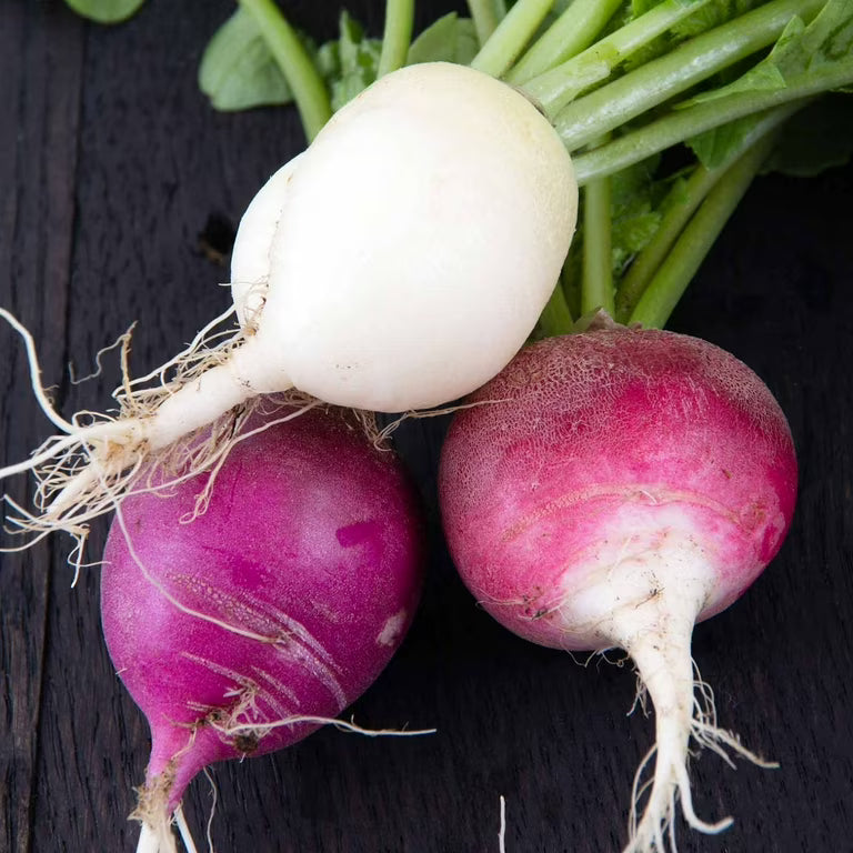 Easter Egg Blend Radish Seeds Heirloom Non-GMO High Germination Organic Garden Seeds