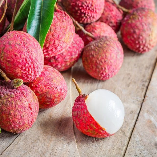 The new growth of a Lychee tree with reddish-bronze leaves and glossy mature green leaves
