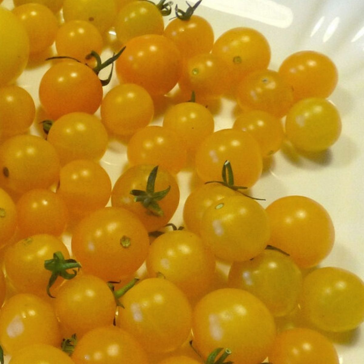 Yellow Currant Tomato Seeds