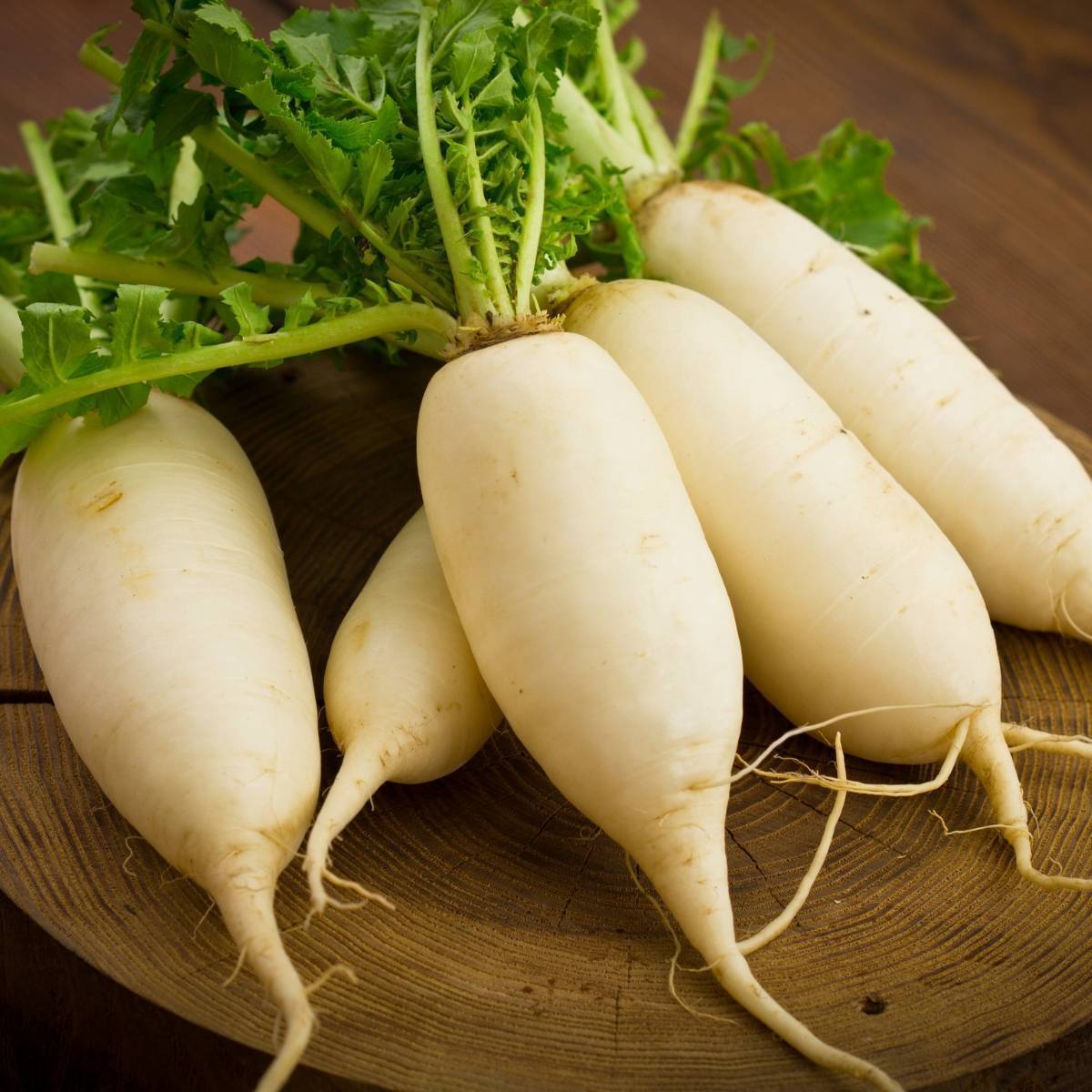 Daikon Radish Seeds