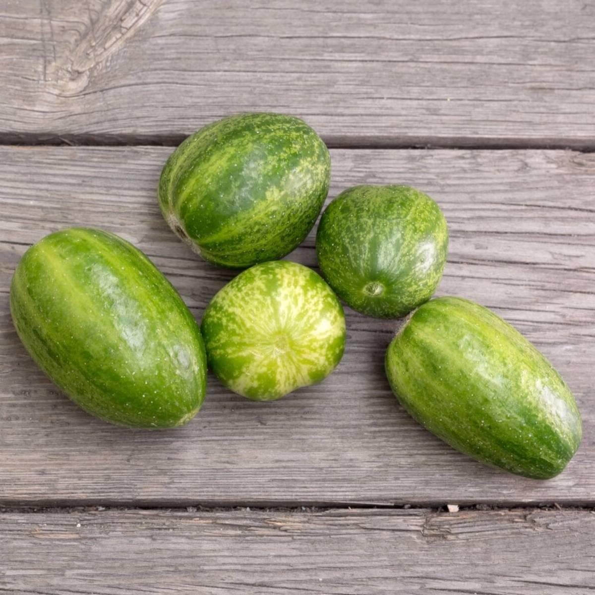 Richmond Green Apple Cucumber Seeds