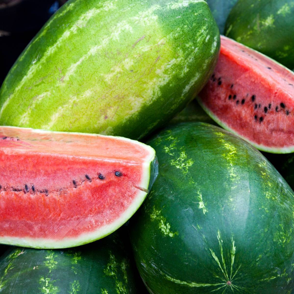 All Sweet Watermelon Seeds