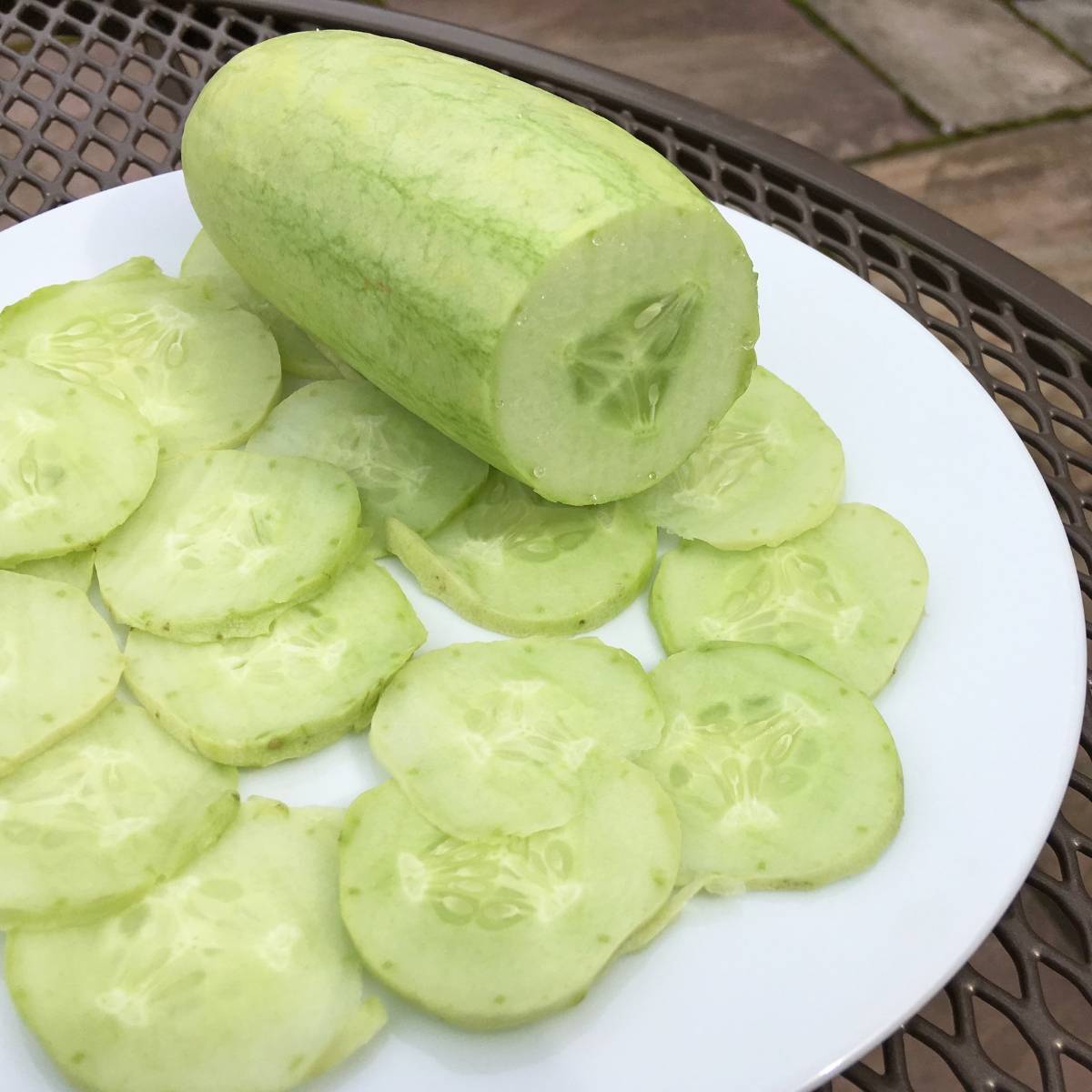 Redlands Long White Cucumber Seeds