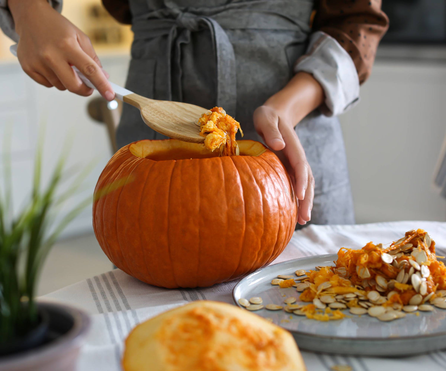 Brown Pumpkin Fruit Seeds - Hardy and Nutritious Pumpkins for Fall Harvest