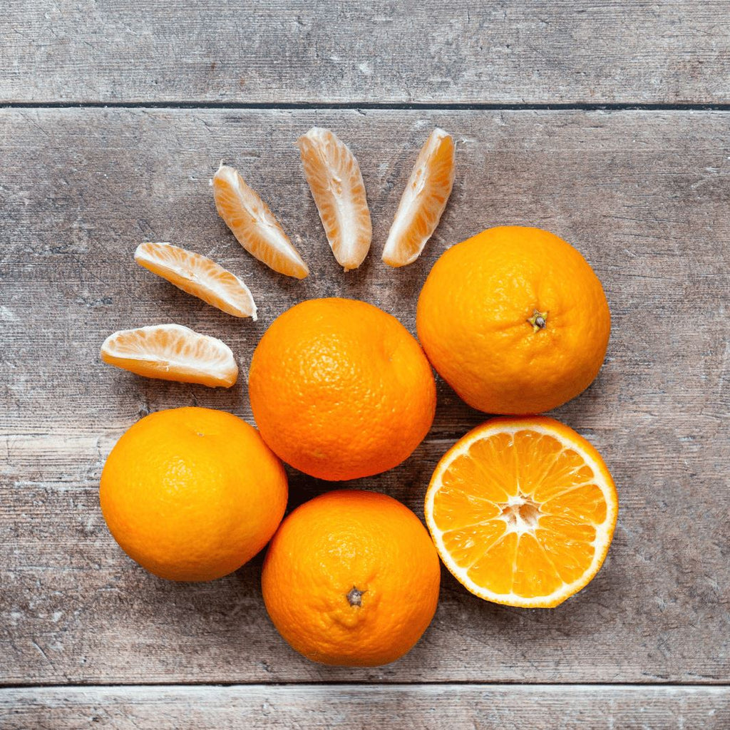 Fairchild Tangerine (Citrus reticulata)