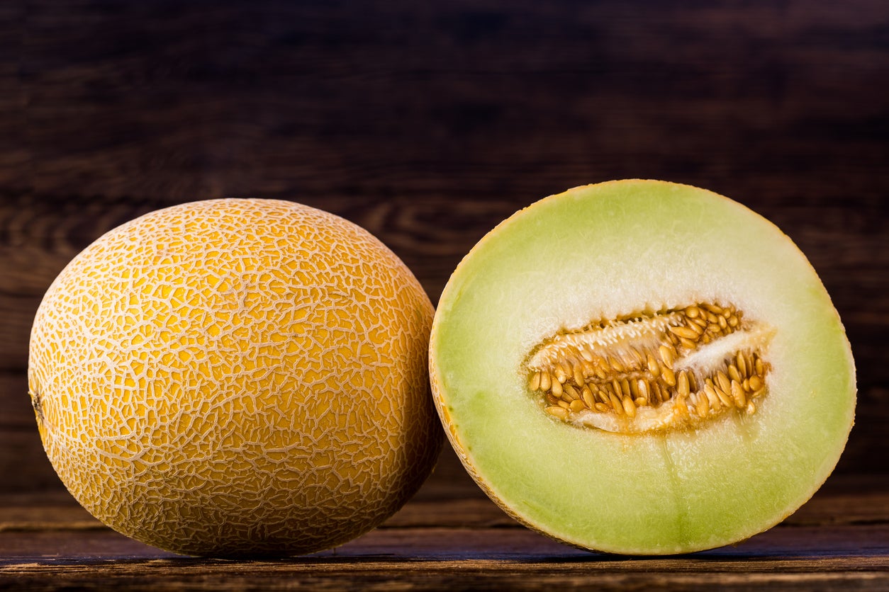 Galia Melon (Cucumis melo)