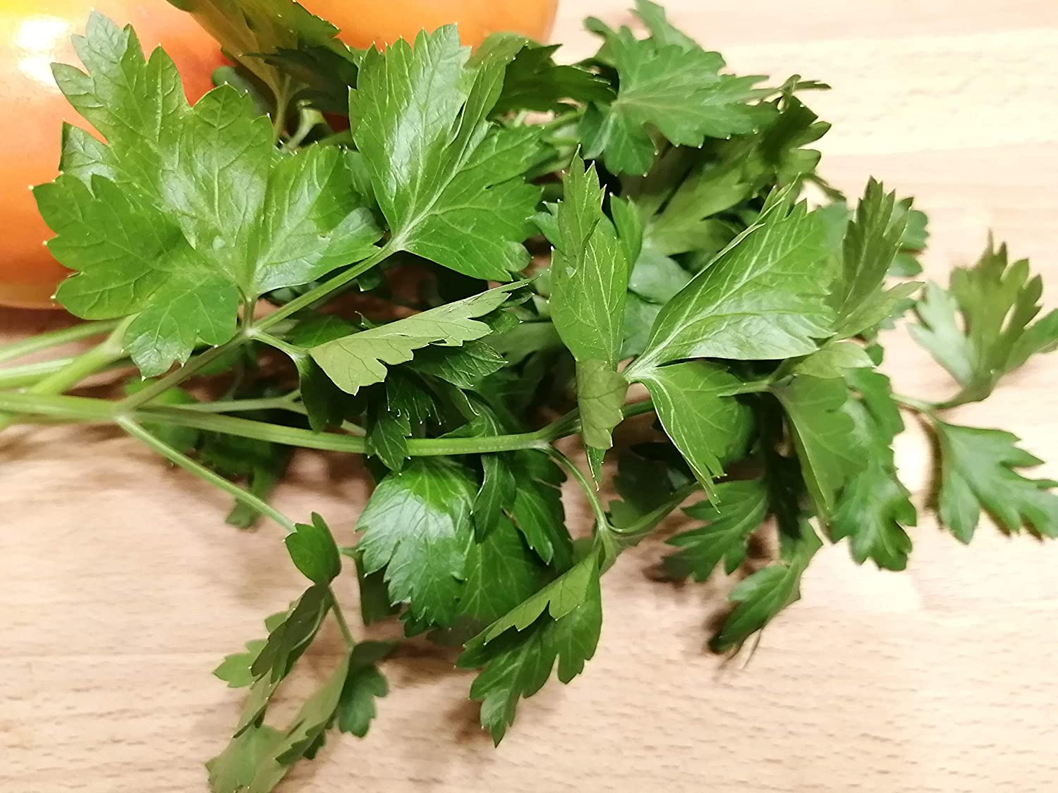 Close-up of fresh Flat-Leaf Parsley, an aromatic herb essential for cooking.