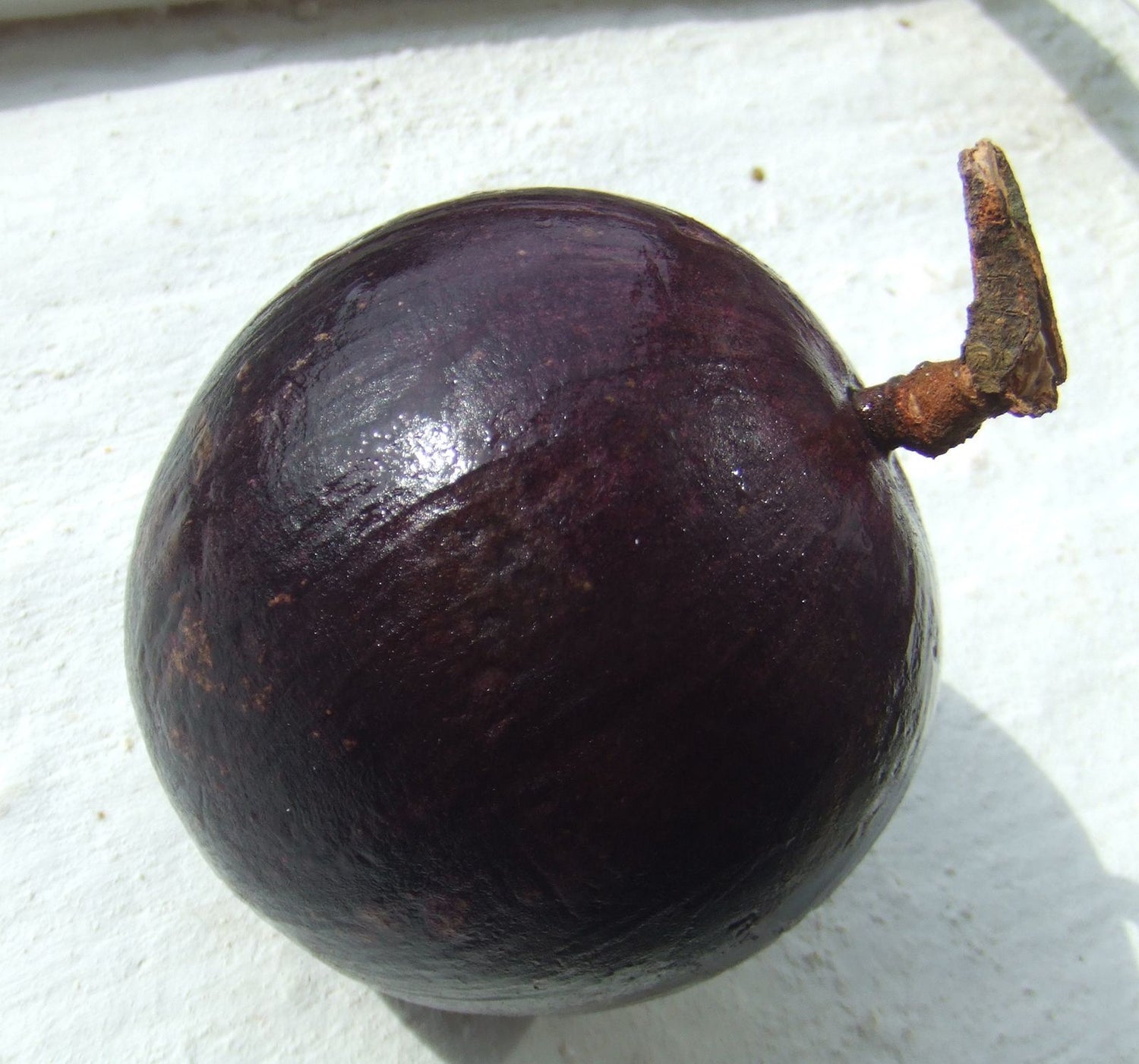 Star Apple – A Sweet, Exotic Tropical Delight