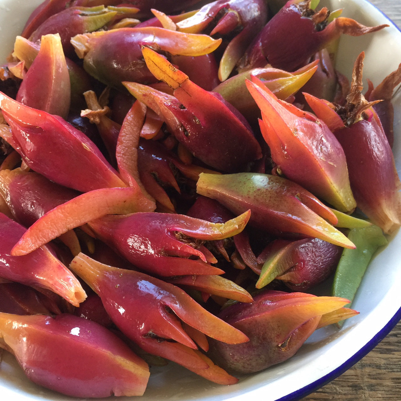 Pigface Fruit (Carpobrotus edulis) – Sweet and Tangy Edible Succulent