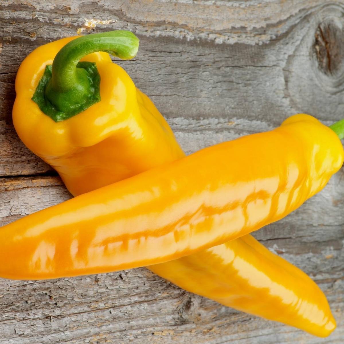 Corno Di Toro Giallo Capsicum Seeds