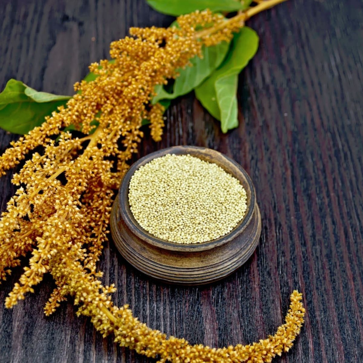 Golden Grain Amaranth Seeds