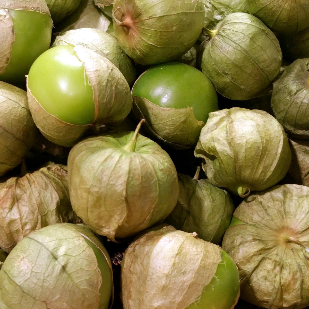 Verde Puebla Tomatillo Seeds