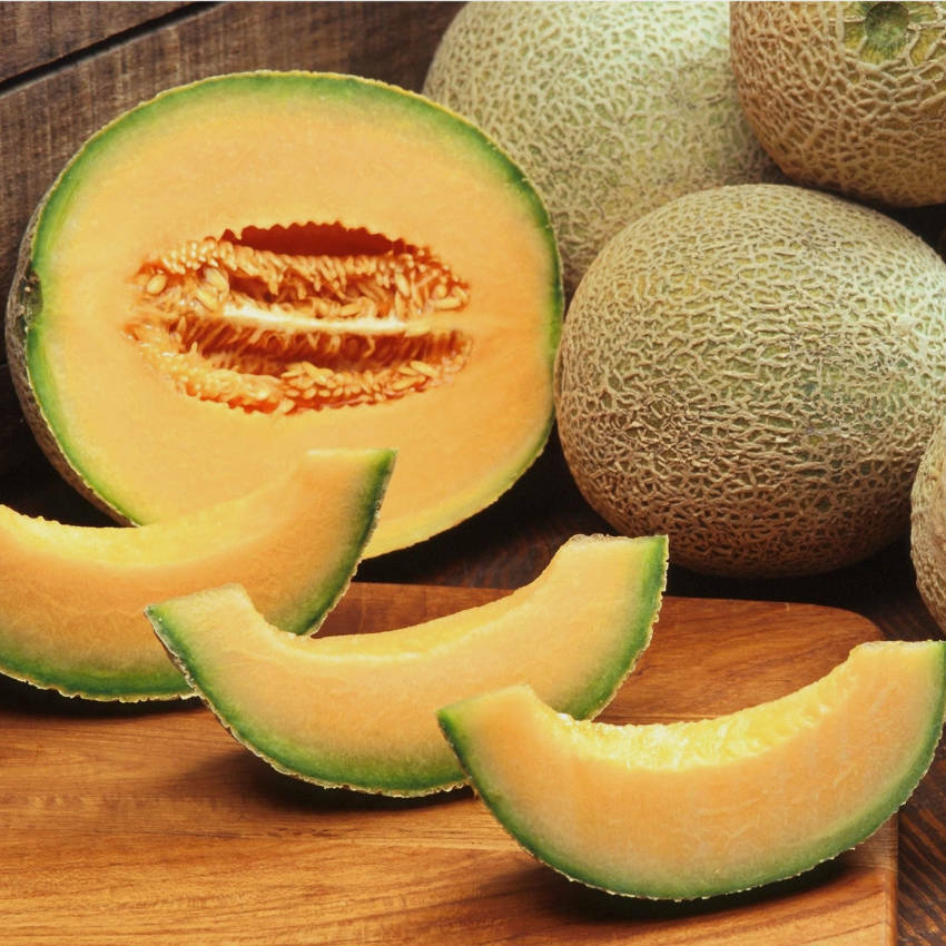 Hales Best Rockmelon Seeds