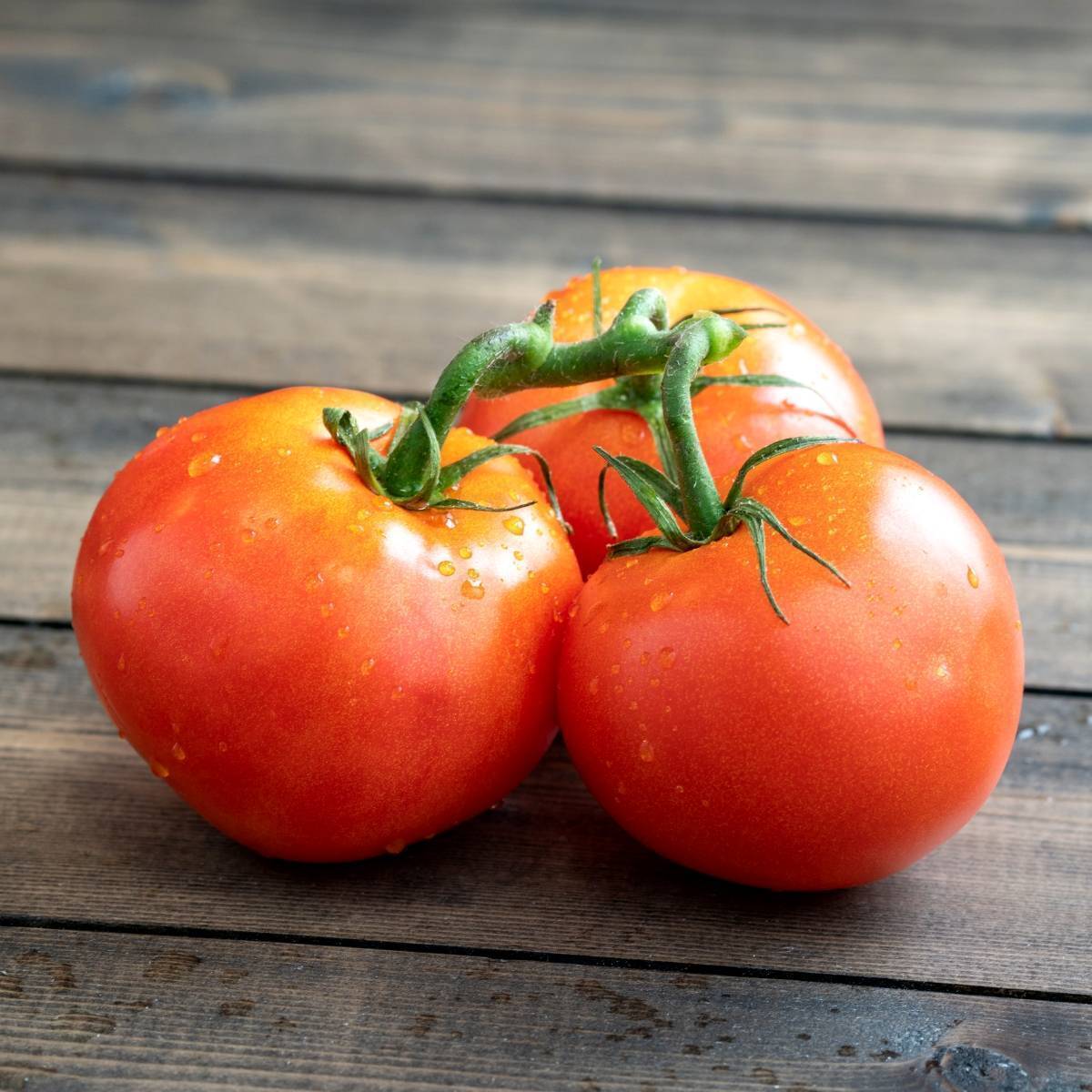 Floralou Tomato Seeds