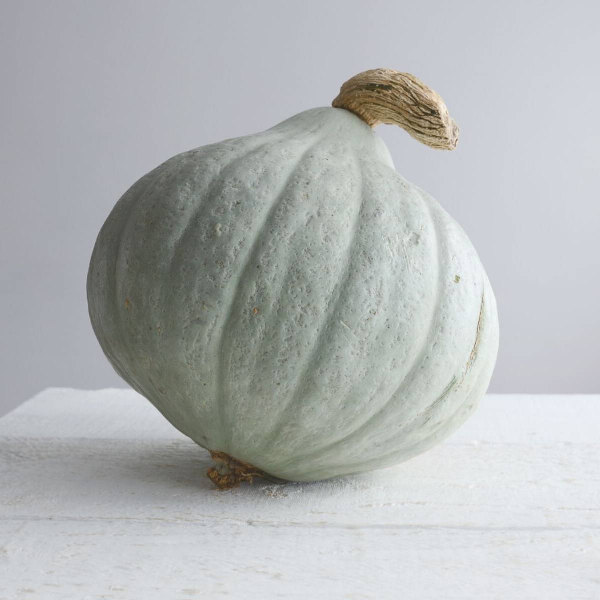 Baby Blue Pumpkin Seeds