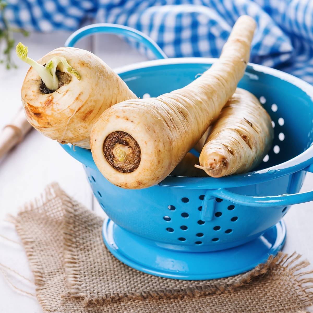 Guernsey Parsnip Seeds