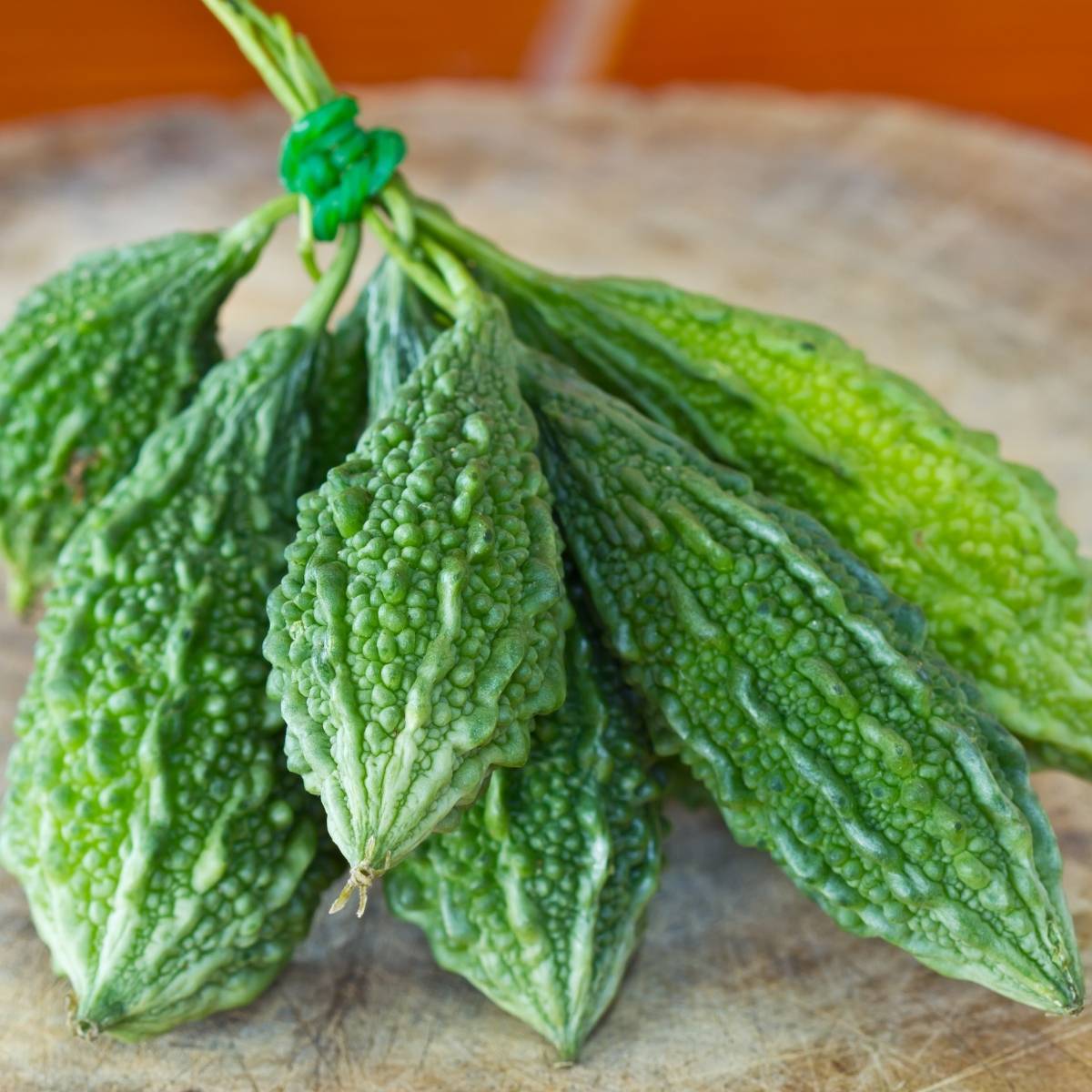 Thai Bitter Melon Seeds