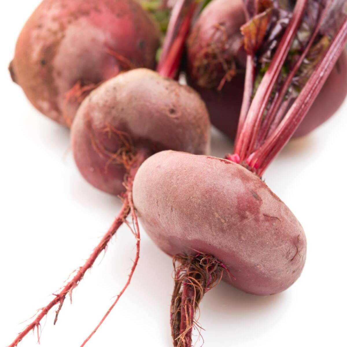 Egyptian Turnip Rooted Beetroot Seeds