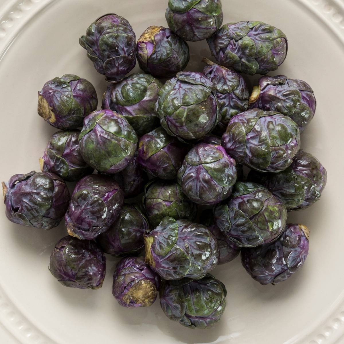 Red Brussels Sprouts Seeds