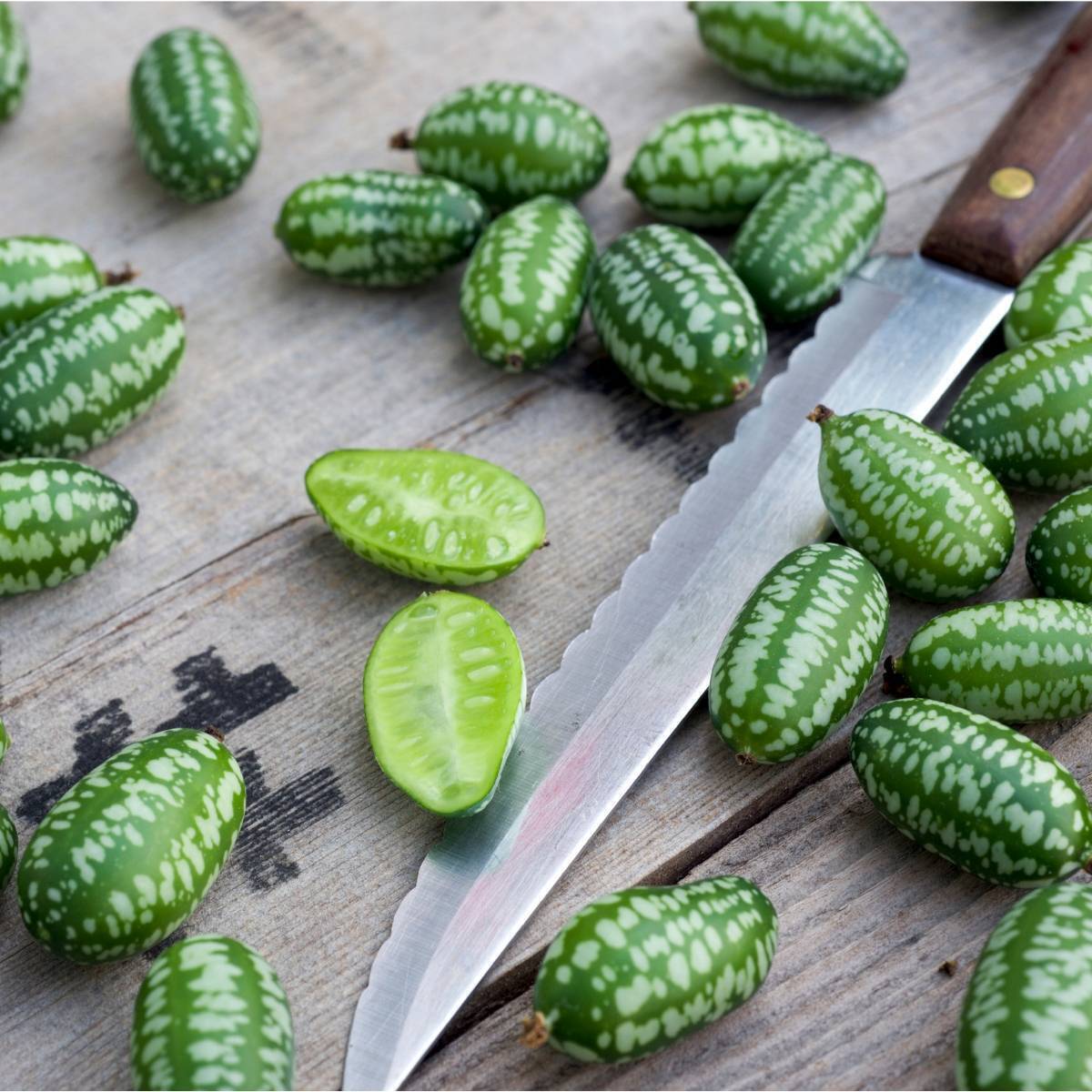 Cucamelon Seeds